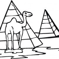 Desenho de Pirâmide e camelo para colorir