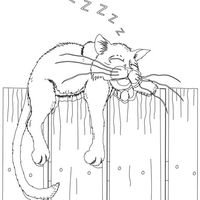 Desenho de Gato dormindo na cerca para colorir