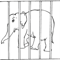 Desenho de Elefante na jaula para colorir