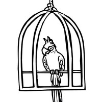 Desenho de Papagaio no poleiro da gaiola para colorir