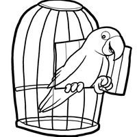 Desenho de Papagaio na janela da gaiola para colorir