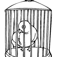 Desenho de Pássaro na gaiola para colorir