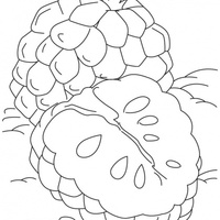 Desenho de Fruta-do-conde cortada para colorir