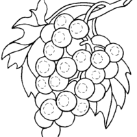 Desenho de Uva fruta para colorir