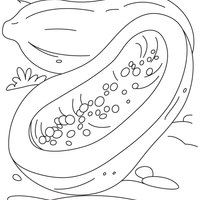Desenho de Sementes de mamão para colorir