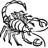Desenho de Escorpião grande para colorir