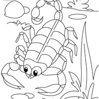 Desenho de Escorpião na floresta para colorir