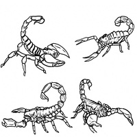 Desenho de Escorpiões para colorir