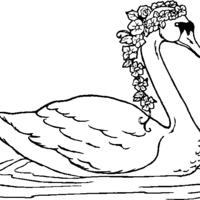 Desenho de Cisne com coroa de flores para colorir