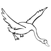 Desenho de Cisne voando para colorir