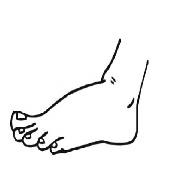 clipart human foot - photo #14