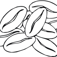 Desenho de Feijão vegetal para colorir