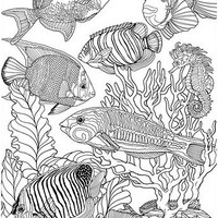 Desenho de Fundo do mar para adultos para colorir
