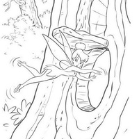 Desenho de Sininho na árvore para colorir