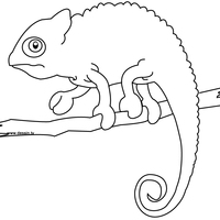 Desenho de Camaleão pequeno para colorir