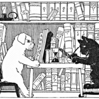 Desenho de Cachorro e gato estudando para colorir