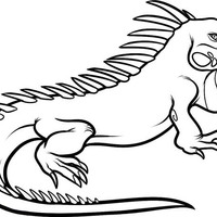 Desenho De Iguana Para Colorir Tudodesenhos