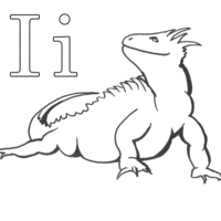 Desenho de Letra I de Iguana para colorir