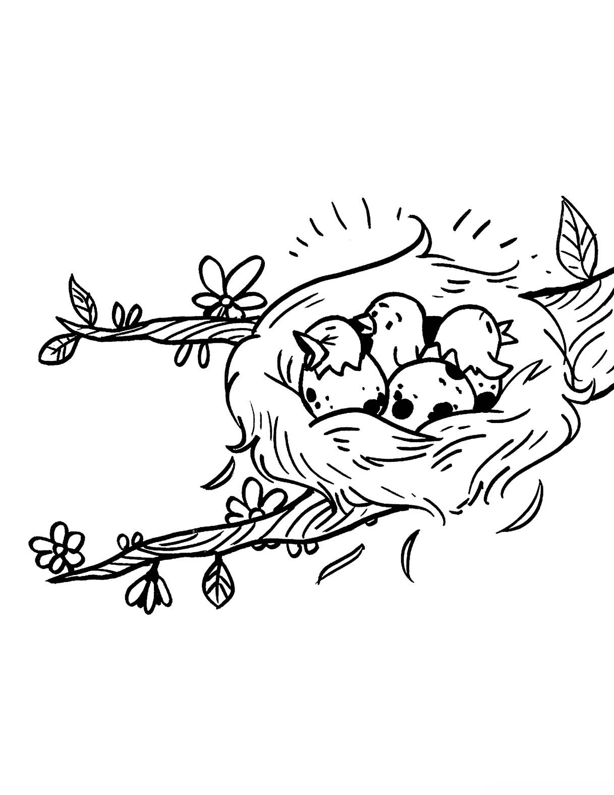 baby birds in a nest coloring pages - photo #17