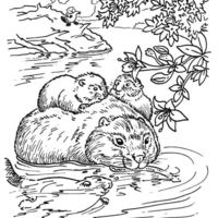 Desenho de Mamãe castor atravessando rio com filhotes para colorir