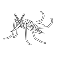 Desenho de Dengue transmissor de Zika virus para colorir