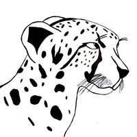 Desenho de Guepardo felino para colorir