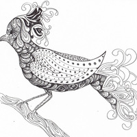 Desenho de Zentangle pássaro para colorir