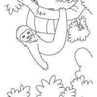 Desenho de Bicho-preguiçano galho da árvore para colorir