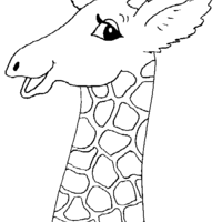 Desenho de Cabeça de girafa para colorir