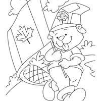 Desenho de Ursinho e bandeira do Canadá para colorir
