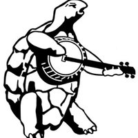 Desenho de Tartaruga tocando banjo para colorir