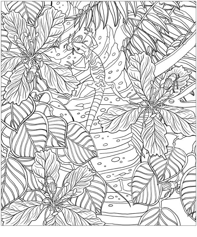 rainforest mandala art coloring pages to print - photo #4