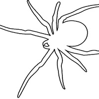 Desenho de Silhueta de aranha para colorir