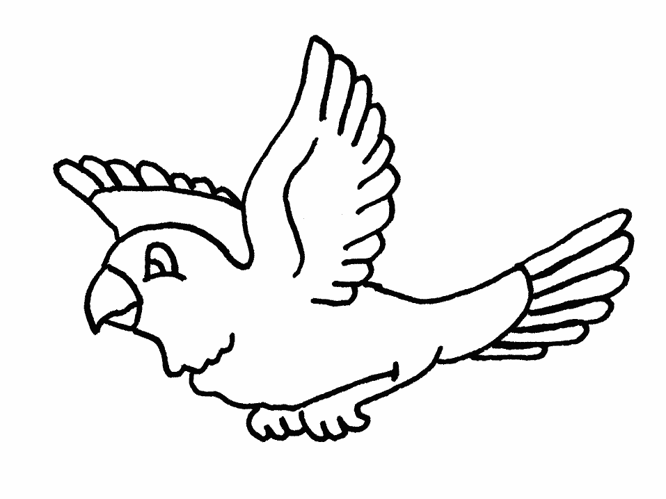 australian bird coloring pages - photo #11