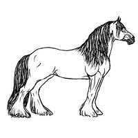 Desenho de Cavalo de exposição para colorir