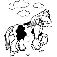 Desenho de Cavalo de raça para colorir