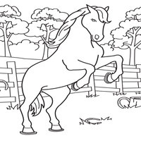 Desenho de Cavalo na fazenda para colorir
