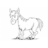 Desenho de Cavalo paraguaio para colorir