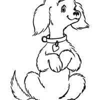 Desenho de Cachorro com patinhas levantadas para colorir