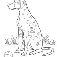 Desenho de Cachorro Dálmata para colorir