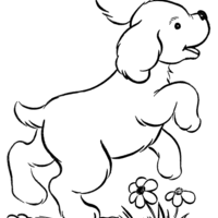 Desenho de Cachorro fofinho para colorir