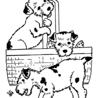Desenho de Cachorros no cesto para colorir