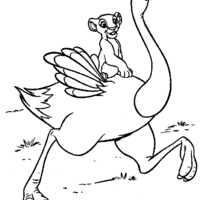 Desenho de Simba andando sobre avestruz para colorir