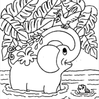 Desenho de Elefante no lago para colorir