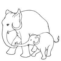 Desenho de Mamãe e bebê elefante para colorir