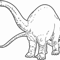 Desenho de Dinossauro herbívoro para colorir
