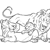 Desenho de Família de leões para colorir
