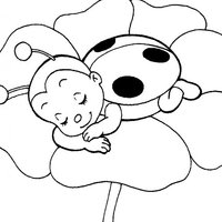 Desenho de Joaninha dormindo na flor para colorir