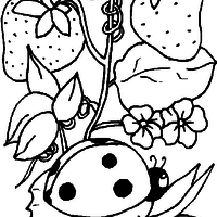 Desenho de Joaninha entre morangos para colorir