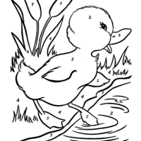Desenho de Colorir com números - Pato na lagoa para colorir